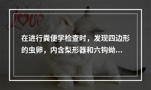 在进行粪便学检查时，发现四边形的虫卵，内含梨形器和六钩蚴，次