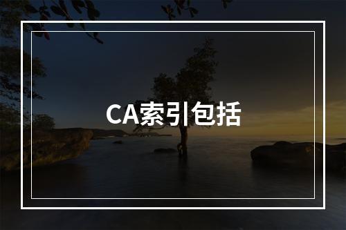 CA索引包括