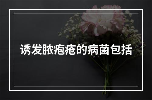 诱发脓疱疮的病菌包括