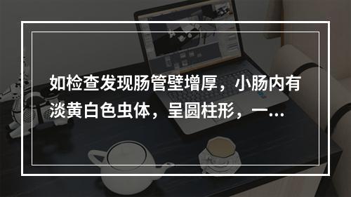 如检查发现肠管壁增厚，小肠内有淡黄白色虫体，呈圆柱形，一端较