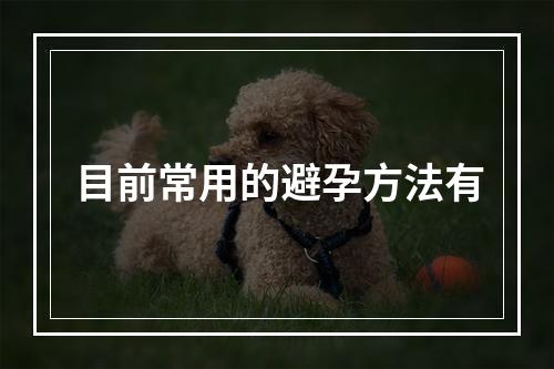 目前常用的避孕方法有