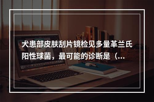 犬患部皮肤刮片镜检见多量革兰氏阳性球菌，最可能的诊断是（　　