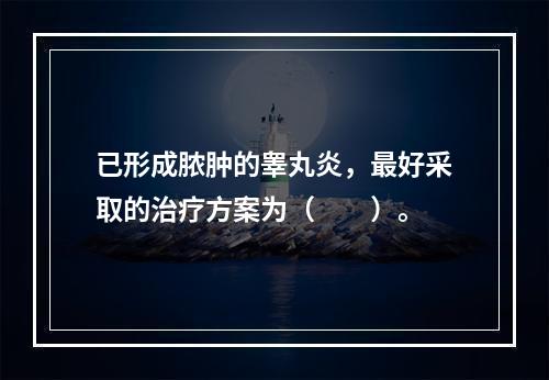 已形成脓肿的睾丸炎，最好采取的治疗方案为（　　）。