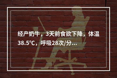 经产奶牛，3天前食欲下降，体温38.5℃，呼吸28次/分钟，