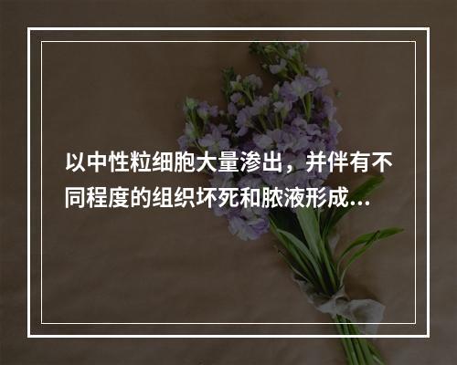 以中性粒细胞大量渗出，并伴有不同程度的组织坏死和脓液形成为特