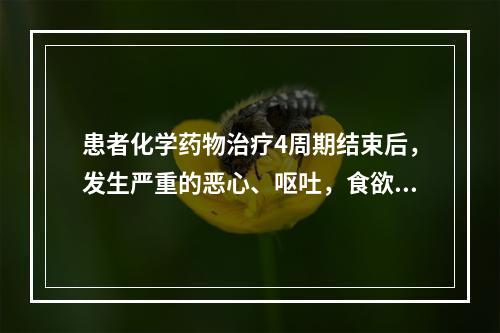 患者化学药物治疗4周期结束后，发生严重的恶心、呕吐，食欲下降