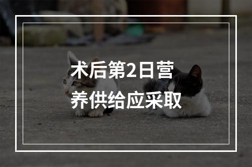 术后第2日营养供给应采取