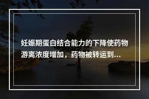 妊娠期蛋白结合能力的下降使药物游离浓度增加，药物被转运到肝脏