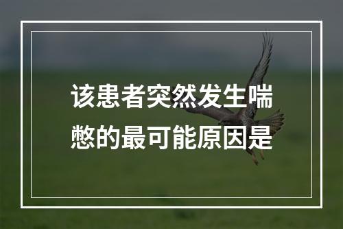 该患者突然发生喘憋的最可能原因是