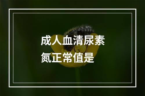 成人血清尿素氮正常值是