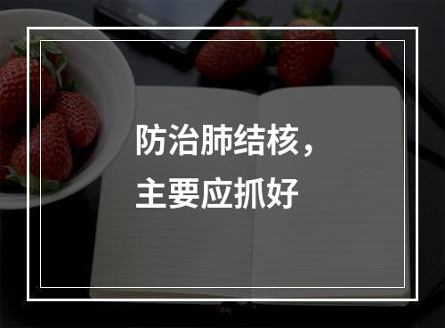 防治肺结核，主要应抓好