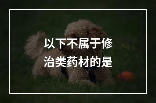 以下不属于修治类药材的是