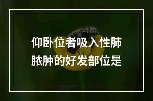 仰卧位者吸入性肺脓肿的好发部位是