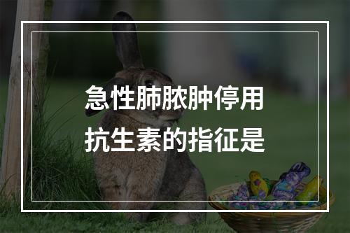 急性肺脓肿停用抗生素的指征是