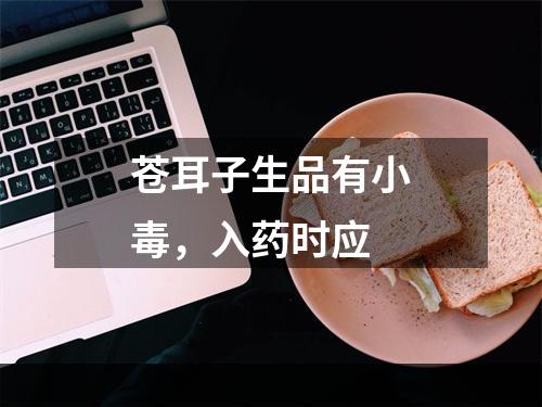 苍耳子生品有小毒，入药时应