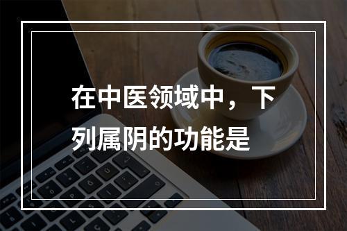 在中医领域中，下列属阴的功能是