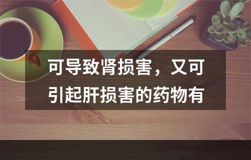 可导致肾损害，又可引起肝损害的药物有