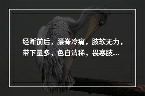 经断前后，腰脊冷痛，肢软无力，带下量多，色白清稀，畏寒肢冷