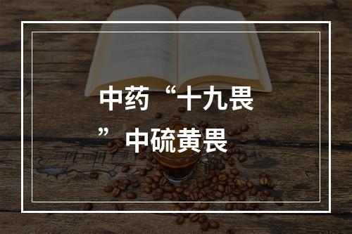 中药“十九畏”中硫黄畏