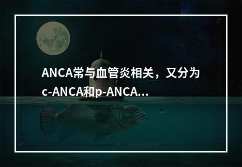 ANCA常与血管炎相关，又分为c-ANCA和p-ANCA，正