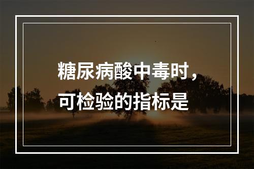 糖尿病酸中毒时，可检验的指标是