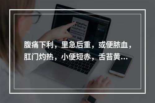 腹痛下利，里急后重，或便脓血，肛门灼热，小便短赤，舌苔黄腻，