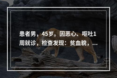 患者男，45岁。因恶心、呕吐1周就诊，检查发现：贫血貌，血压