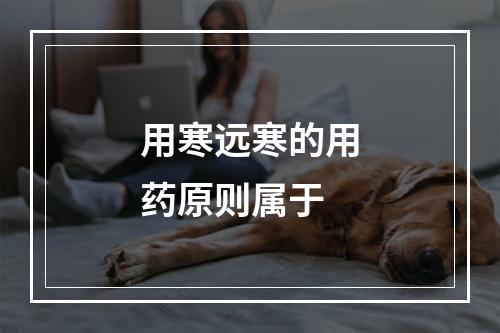 用寒远寒的用药原则属于