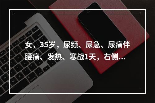 女，35岁，尿频、尿急、尿痛伴腰痛、发热、寒战1天，右侧肾区