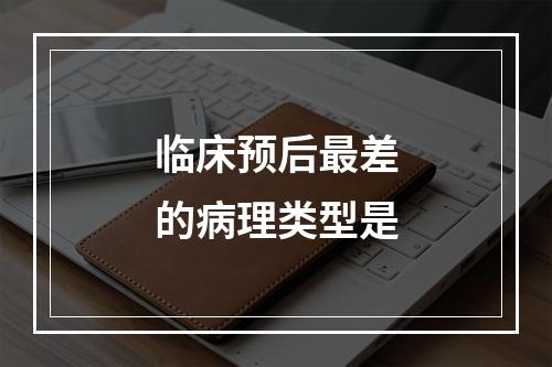 临床预后最差的病理类型是