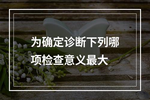 为确定诊断下列哪项检查意义最大