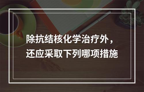 除抗结核化学治疗外，还应采取下列哪项措施