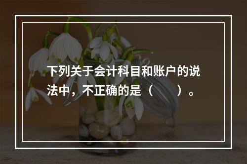 下列关于会计科目和账户的说法中，不正确的是（　　）。