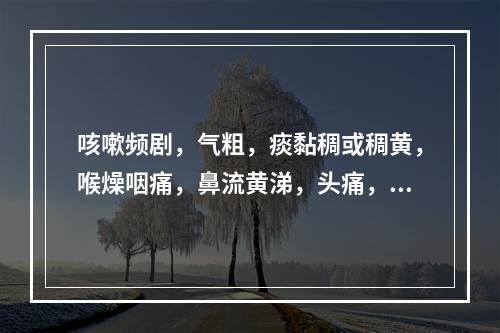 咳嗽频剧，气粗，痰黏稠或稠黄，喉燥咽痛，鼻流黄涕，头痛，肢