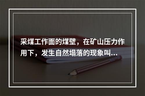 采煤工作面的煤壁，在矿山压力作用下，发生自然塌落的现象叫片帮