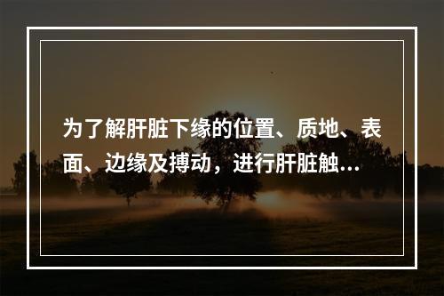 为了解肝脏下缘的位置、质地、表面、边缘及搏动，进行肝脏触诊时