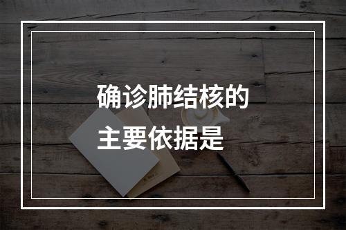 确诊肺结核的主要依据是