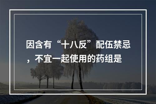 因含有“十八反”配伍禁忌，不宜一起使用的药组是