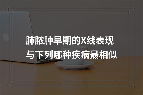 肺脓肿早期的X线表现与下列哪种疾病最相似