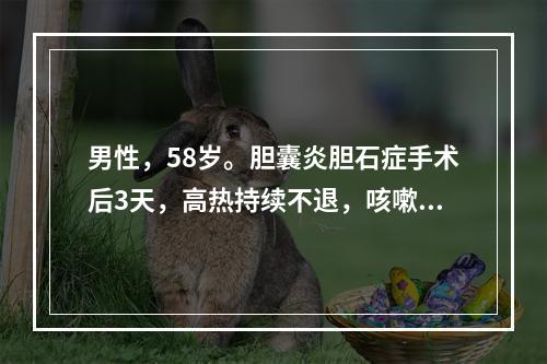 男性，58岁。胆囊炎胆石症手术后3天，高热持续不退，咳嗽黄脓