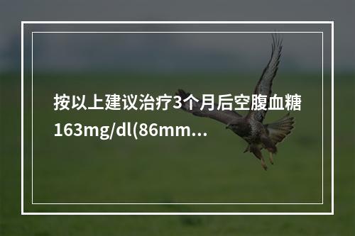 按以上建议治疗3个月后空腹血糖163mg/dl(86mmol