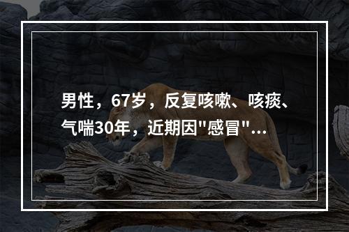 男性，67岁，反复咳嗽、咳痰、气喘30年，近期因