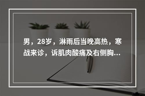 男，28岁，淋雨后当晚高热，寒战来诊，诉肌肉酸痛及右侧胸痛，