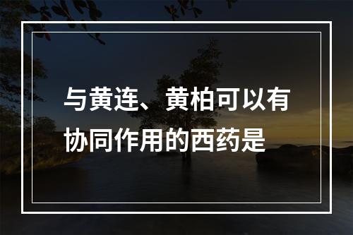 与黄连、黄柏可以有协同作用的西药是