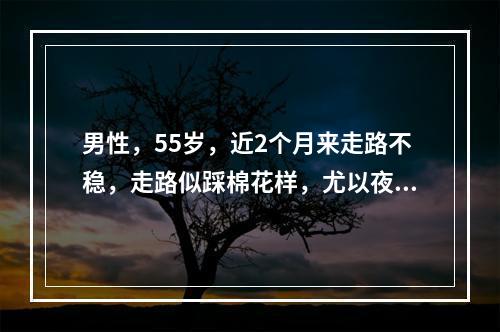 男性，55岁，近2个月来走路不稳，走路似踩棉花样，尤以夜间为