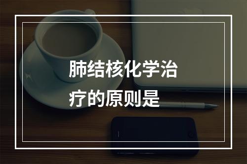 肺结核化学治疗的原则是