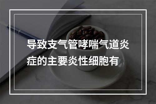 导致支气管哮喘气道炎症的主要炎性细胞有