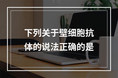 下列关于壁细胞抗体的说法正确的是