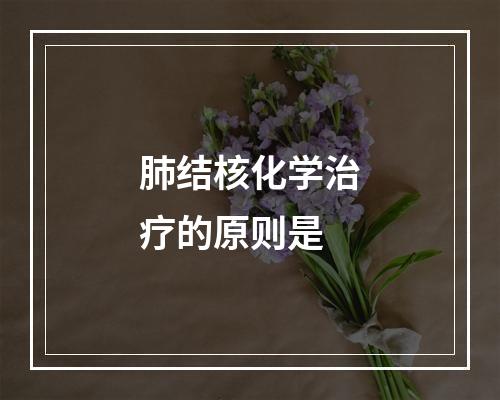 肺结核化学治疗的原则是