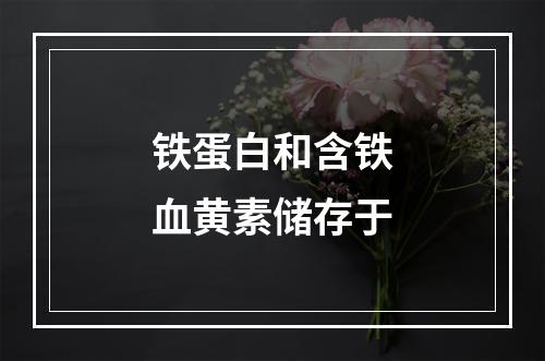 铁蛋白和含铁血黄素储存于